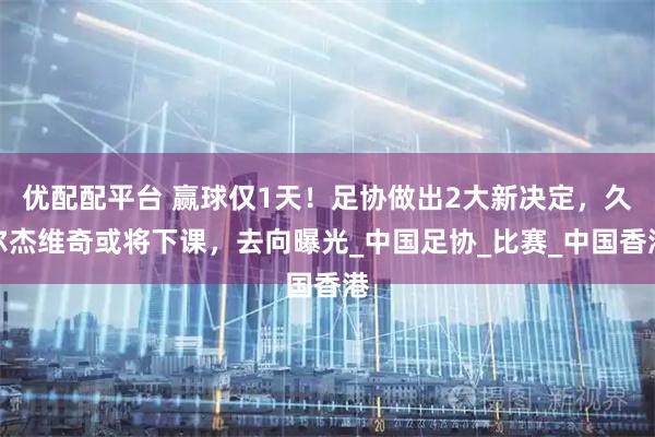 优配配平台 赢球仅1天！足协做出2大新决定，久尔杰维奇或将下课，去向曝光_中国足协_比赛_中国香港