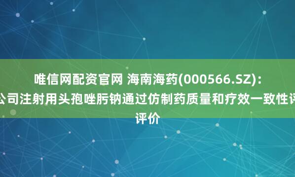 唯信网配资官网 海南海药(000566.SZ)：子公司注射用头孢唑肟钠通过仿制药质量和疗效一致性评价