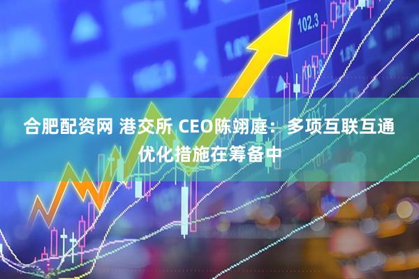 合肥配资网 港交所 CEO陈翊庭：多项互联互通优化措施在筹备中